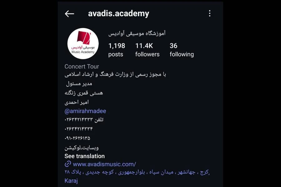 آموزشگاه موسیقی آوادیس