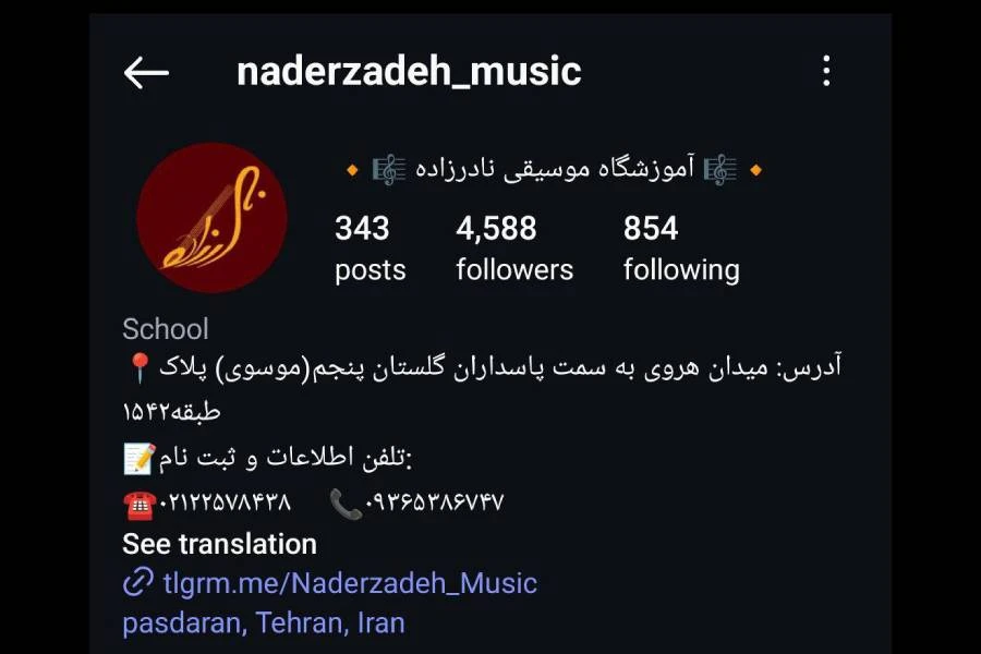 آموزشگاه موسیقی نادرزاده