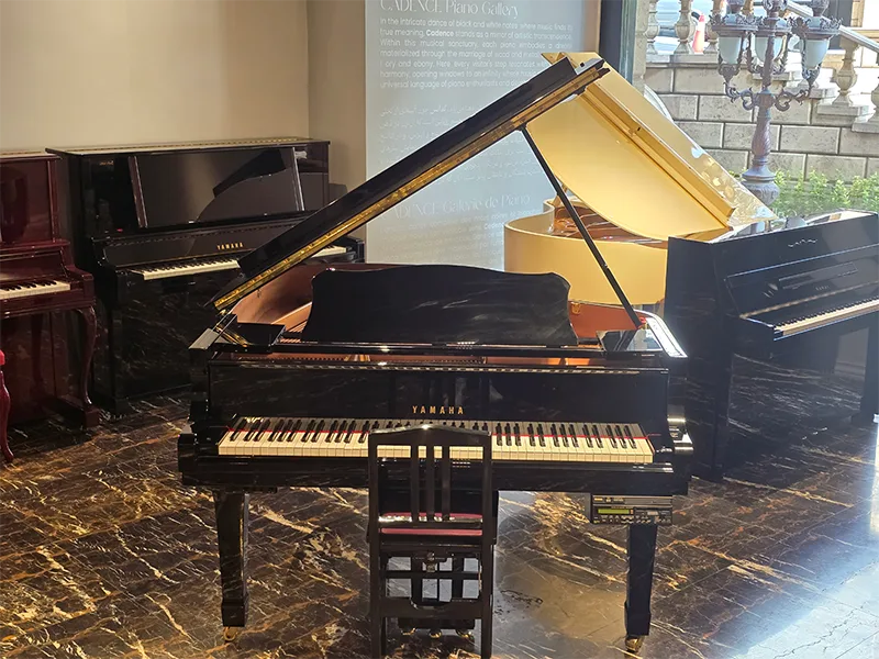 پیانو Yamaha C1 Silent یاماها C1 سایلنت Disklavier (1)