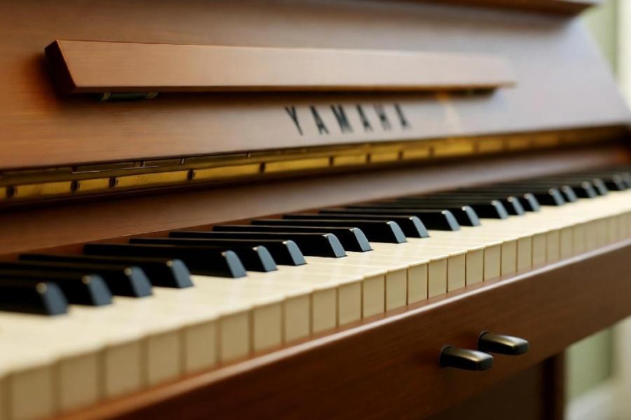 نمایندگی پیانو یاماها در مازندران