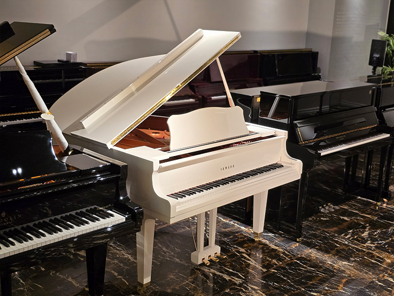 پیانو گرند آکوستیک Yamaha GC1 – Baby Grand