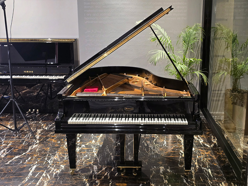 پیانو دست ساز هنری مالماسجو Malmsjö Limited Art Edition