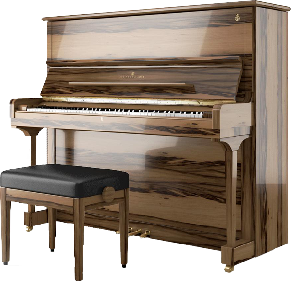 پیانو اشتاین وی